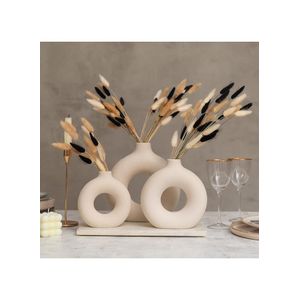 مزهريات سيراميك للديكور المنزلي (مجموعة من 3 قطع، أبيض)