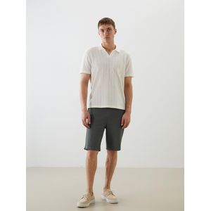 LC Waikiki Slim Fit Men's Shorts
