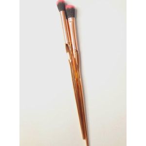 Luxury Eye Makeup Brush Set - Synthetic Eyeshadow, Concealer, Eyeliner Blending Brushes (2 Pieces)
