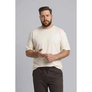 Defacto Büyük Beden Boxy Fıt T-shırt