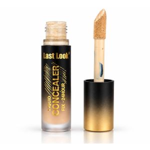 Last Look كونسيلر سائل خافي للعيوب لاست لوك ثبات 24 ساعة - درجة 01