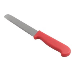 Stainless steel knife with a plastic handle