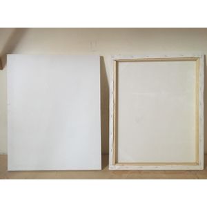 Canvas For Acrylic Painting Online - Shop @Best Price