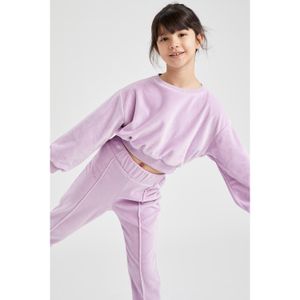 Defacto Knitted Sweat Shirt - Lilac
