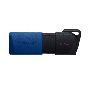 Kingston كنجستون فلاش درايف اكسوديا 64 جيجا بايت USB 3.2 - موديل DTXM
