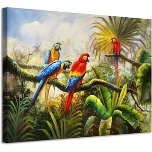 Woxfcart Bathroom Wall Art Parrot Painting - Tropical Macaw Colorful Pictures on Canvas Artwork for Teens Kids Children Room Walls Decor 12x15