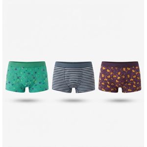 3-piece set of women's printed cotton hot shorts