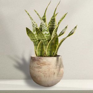 Polygonal Pottery Pot - وعاء فخاري متعدد الأضلاع