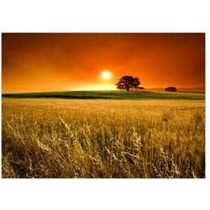 لوحة طبيعية مناظر طبيعية 23 سم × 18 سم