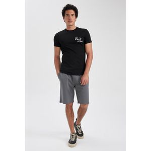 Defacto Man Regular Fit Short - ANTHRA