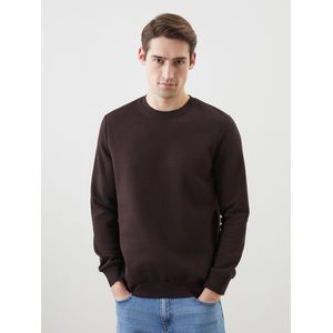 LC Waikiki Crew Neck Long Sleeve Men's Sweatshirt