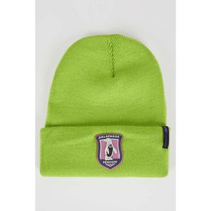 Defacto Hats/Berets/Gloves Beret - Green