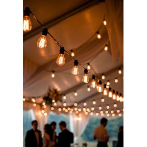 Nagafa Shop  lights for indoor and outdoor use 10 warm white LED bulbs waterproof and weather resistant ideal for gardens patios and events