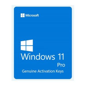 Microsoft Windows 11 Professional lifetime Key