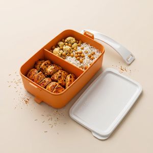 Easy Go 1.5L Portable Lunch Box with Handle – Sectioned - Microwave, Freezer & Dishwasher Safe - Orange