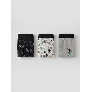 LC Waikiki Printed Boy's Boxer Briefs 3-Pack