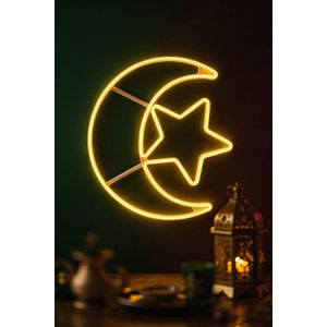 فانوس رمضان للزينة اضاءة نييون ورم