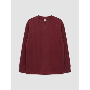 LC Waikiki Crew Neck Long Sleeve Boy's T-Shirt