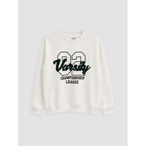 LC Waikiki Printed Boy's Sweatshirt