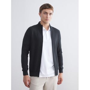 LC Waikiki Regular Fit Funnel Neck Men's Knit Cardigan