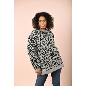 Maro سويت شيرت اوفر سايز (تايجر) رمادي* اكوا