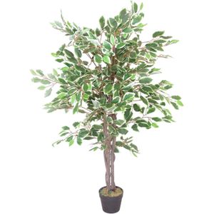 Leaf شجرة فيكس اصطناعية - نبات، حافة بيضاء ملتوية، 120 سم