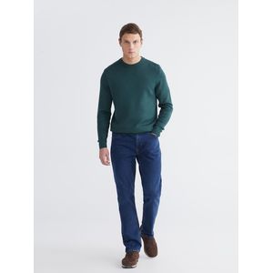 LC Waikiki 779 Regular Fit Men's Jean