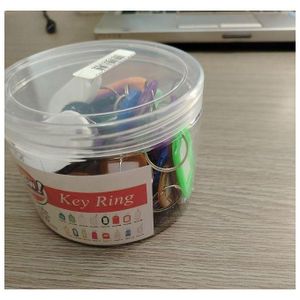 Plastic Key Tags with Label Window, Practical Key Organization (50 Pieces)