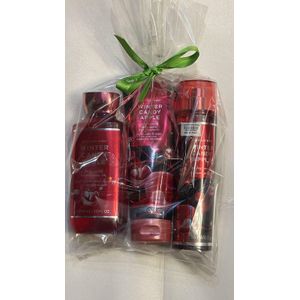 Bath & Body Works Winter Candy Apple Gift Set