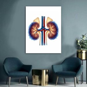 Smile Gallery Modern Kidney Care Clinic Wall Art- 40 X 30 Cm