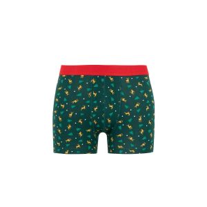 Defacto Man Regular Fit Knitted Boxer - D.Green