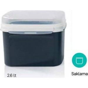 food savers storage containers