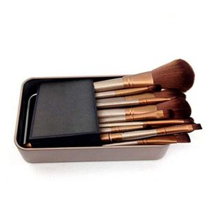 Brush 12 pcs kit professional makeup brushes set with Metal box