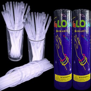 200 PCS Glow Stick Bracelets Necklaces, 8 Inch Glow in The Dark Light Up Sticks Party Favors with 200 Connectors Accessories for Christmas Holiday Decoration Party Carnival