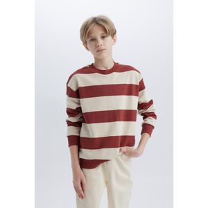 Defacto Boy Crew Neck Oversize Fit Sweat Shirt - Stone