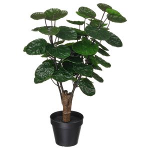 Artificial potted plant FEJKA artificial plant, green, potted in black, realistic leaves & trunk, low maintenance.