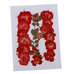 Pressed Flowers For Crafts Online - Buy @Best Price