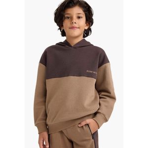 Defacto سويت شيرت اولادي اوفر سايز ببطانة ناعمة وكابيشون