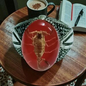 خاتم رجالي فضه عيار 925