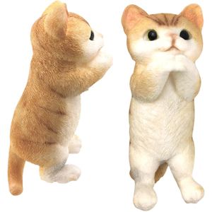 Chirpy Feline: Hand-Painted Squeeze Companion