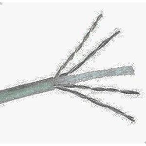 D-Link لفات كابل يو تي بي من دي لينك Cat6 Box305M، لاجهزة مودم