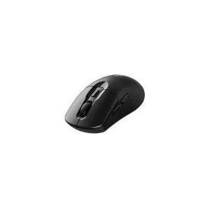 Rapoo M306 Wireless Optical Mouse