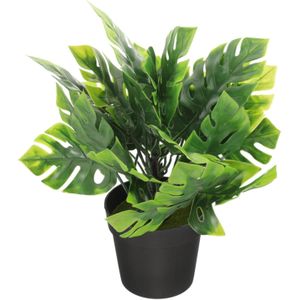 نباتات صغيرة لتزيين المباني، وتزيين المكاتب، وتزيين النباتات بالبلاستيك الحقيقي