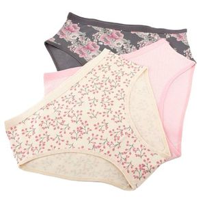 Sphinx Pack Of 6 Cotton Lycra Brief Panties Underwear For Women