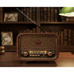 Golon 1300 راديو بلوتوث وفلاشه وكارت كلاسيك  كود  AH-2511-2