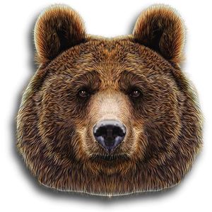 Bear Shaped Puzzle