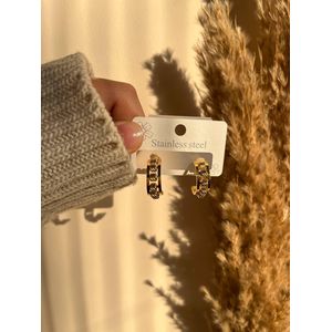 316Lأقراط استانلس ستيل  ناعمة (ضد الصدأ) - حلق استانليس طويل