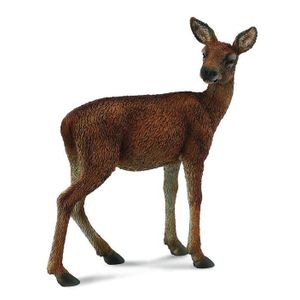 Red Deer Hind