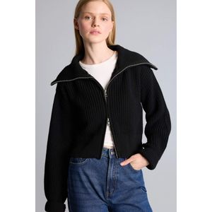 Defacto Oversize Fit Polo Collar Cardigan
