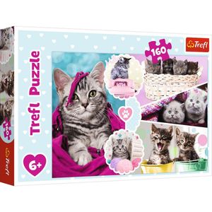 Trefl Lovely Cats Puzzle 160 Pieces - 15371